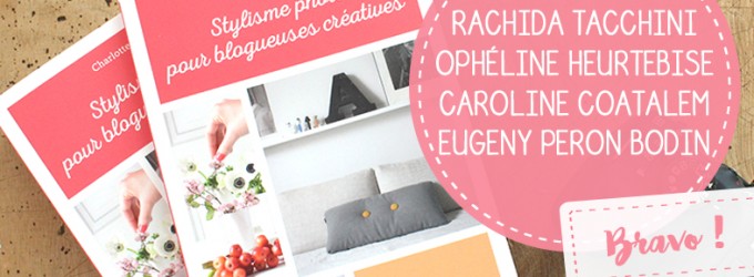 visuel jeu concours Stylisme photo pour blogueuses créatives resultats