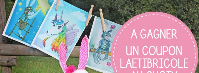 visuel jeu concours LAETIBRICOLE
