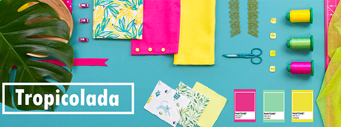 Bannière Blog Moodboard Tropicolada