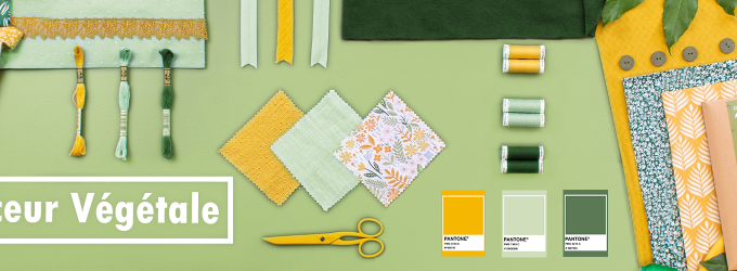 Bannière Moodboard Douceur Vegetale